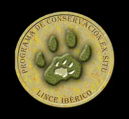 استشارات المنتزهات الترفيهية