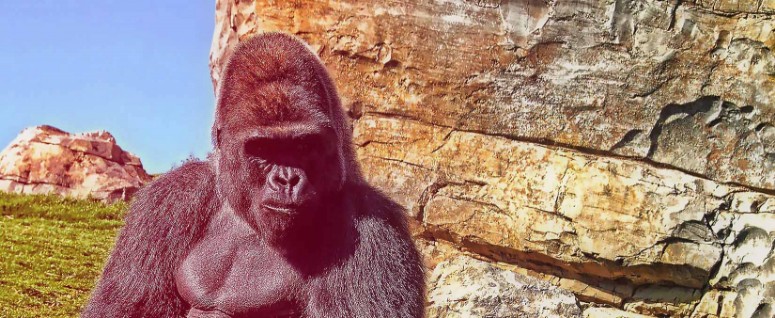 人造岩建設，人造岩建設，人造岩和主題設計，人造瀑佈設計，