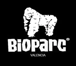 internationales Unternehmen, spezialisiert auf die Errichtung von Freizeitparks