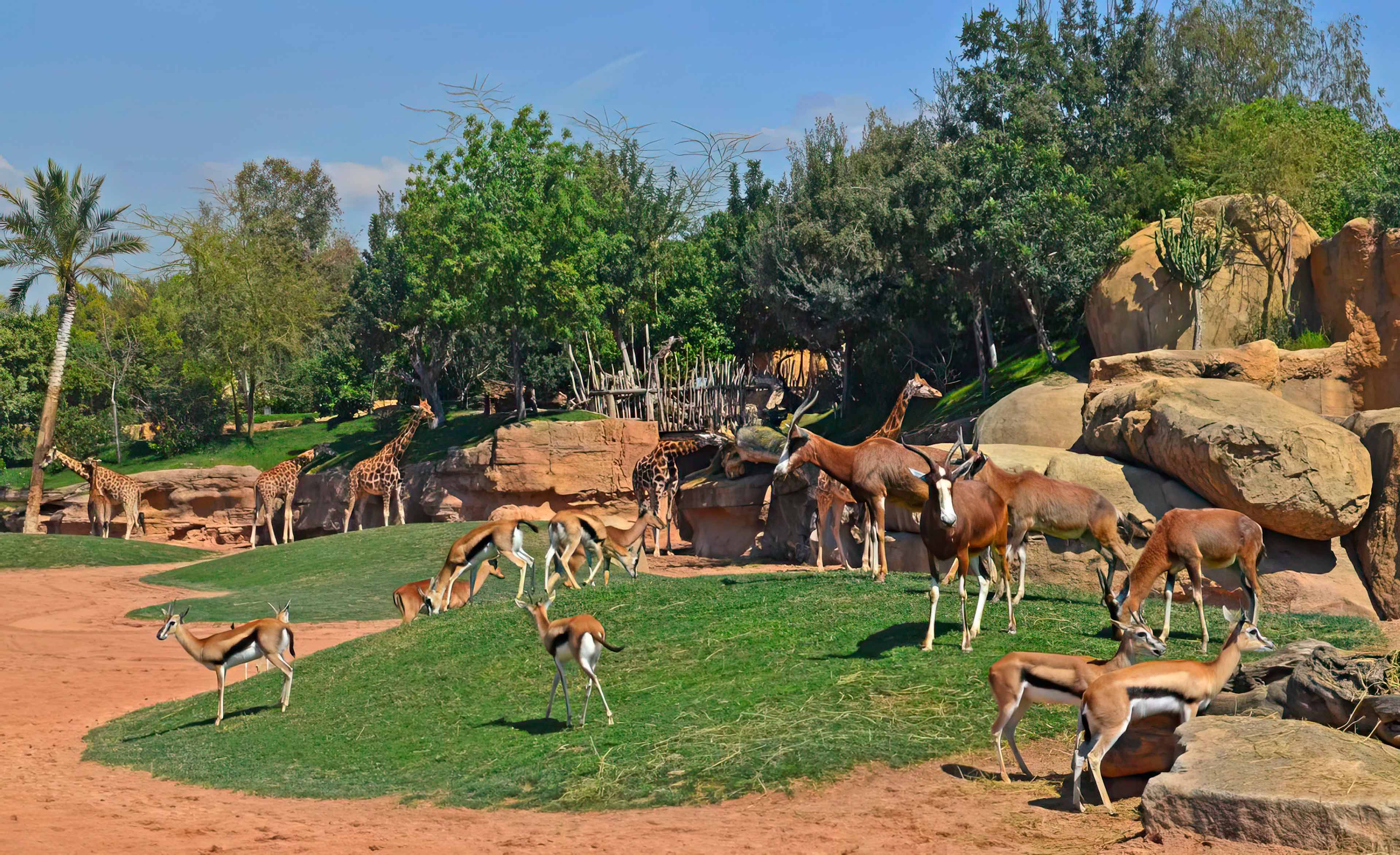 Entwurf und Bau künstlicher Felsen und thematische Gestaltung künstlicher Felsen und thematische Gestaltung