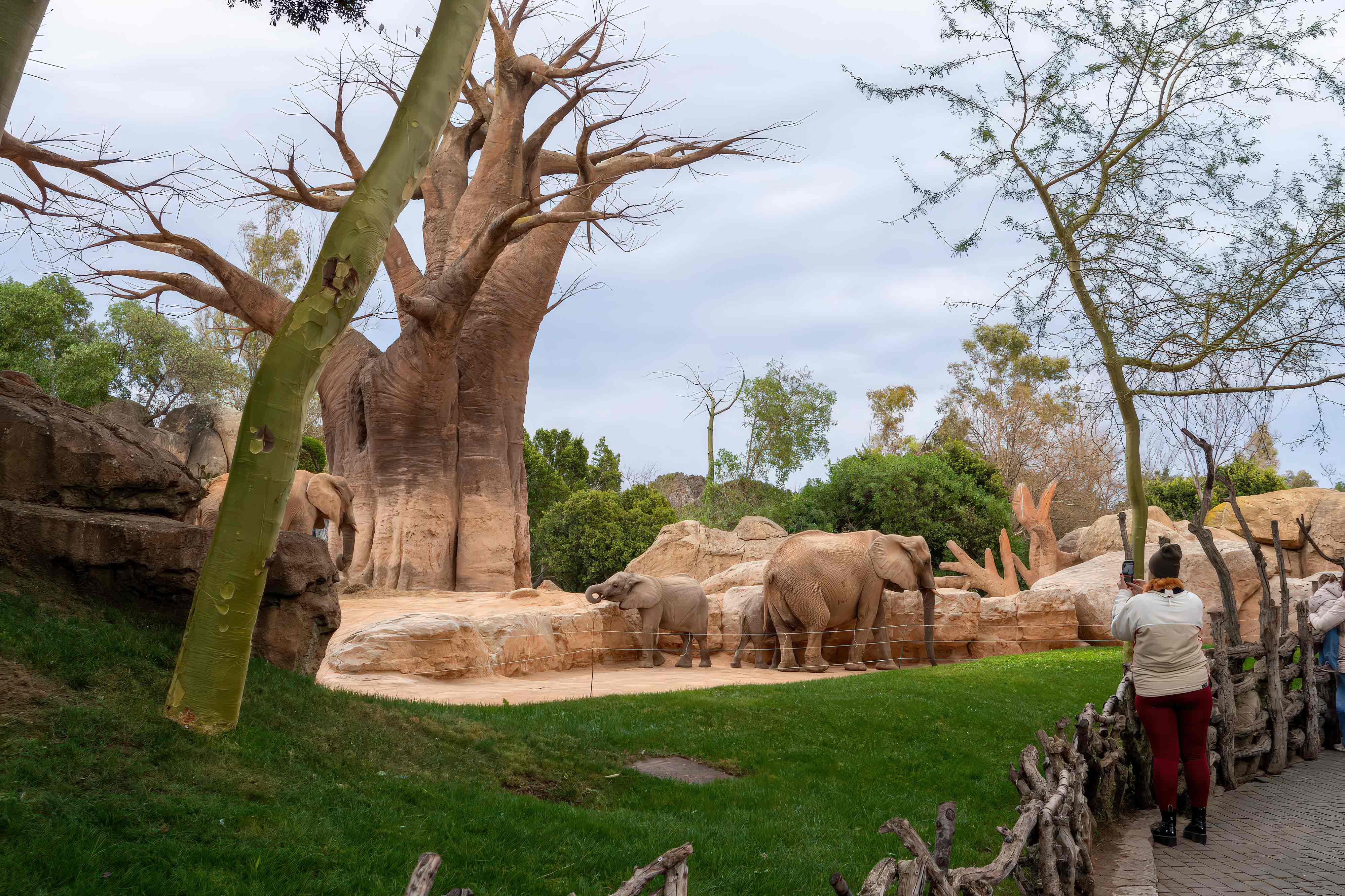 Bau von Zoos Firmenplanung und Bau von Zoos