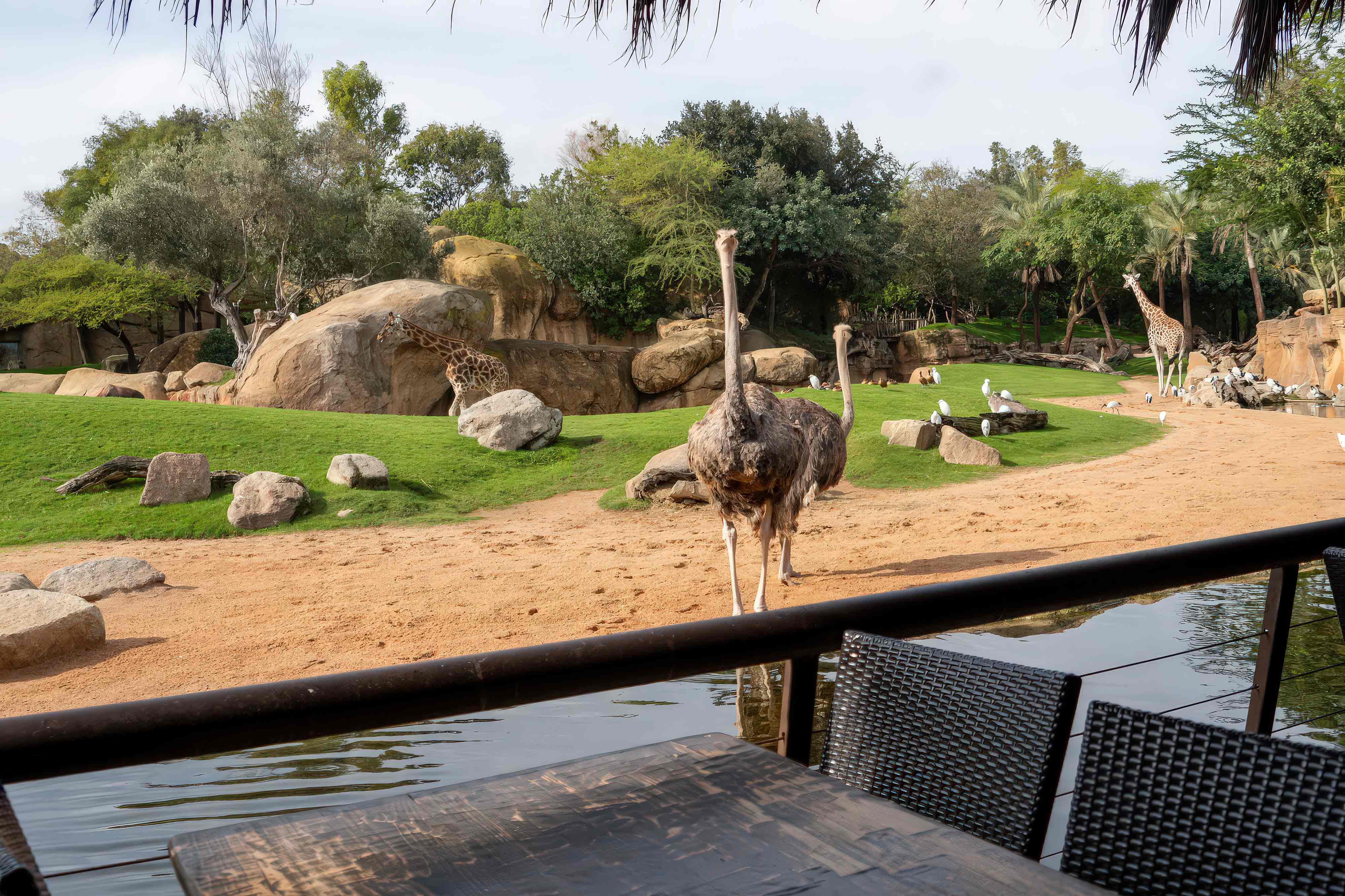 Firmenplanung und Bau von Zoos Bau von Zoos
