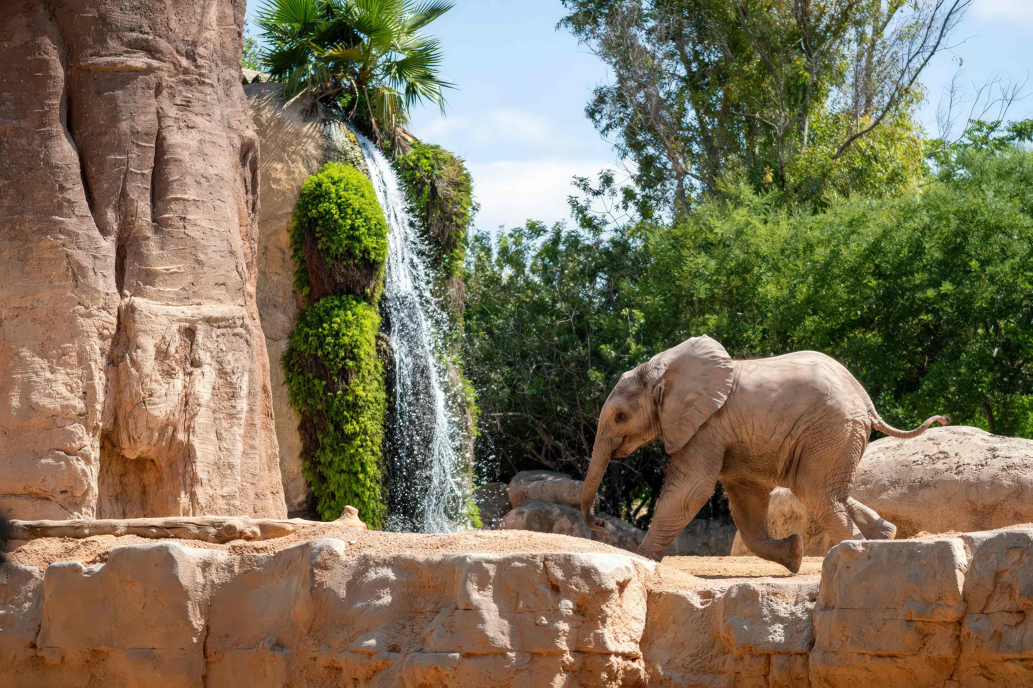 Bau von Zoos Firmenplanung und Bau von Zoos