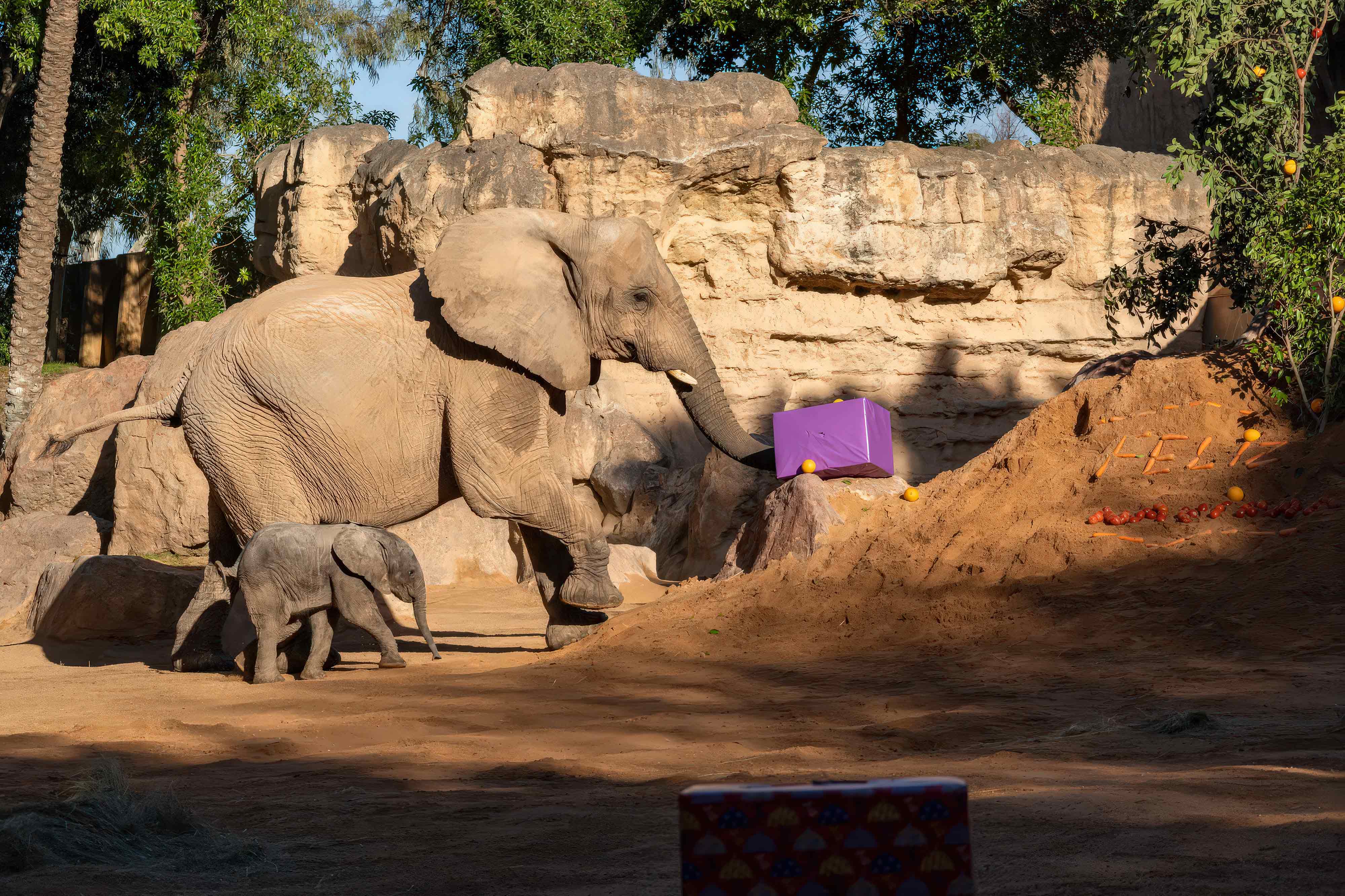 Firmenplanung und Bau von Zoos Bau von Zoos