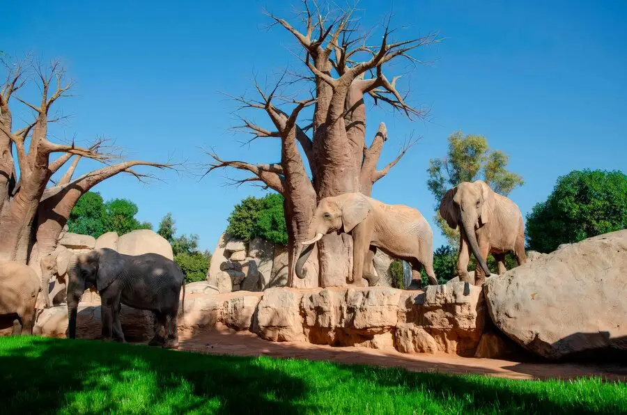 zoological park construction