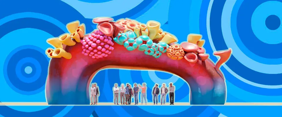 AMUSEMENT PARK DESIGN