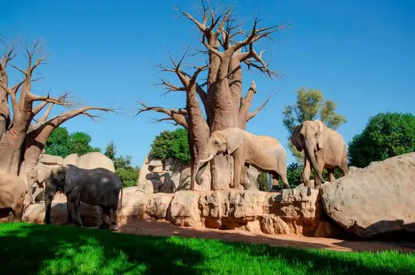 zoological park construction