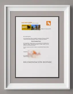 leisure development design strategy <br /> thematic park layout concepts <br />