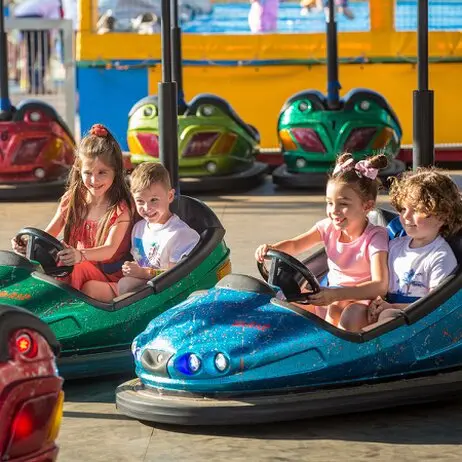 Pola Park visitor experience design  <br />