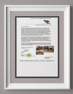 leisure park theming services 