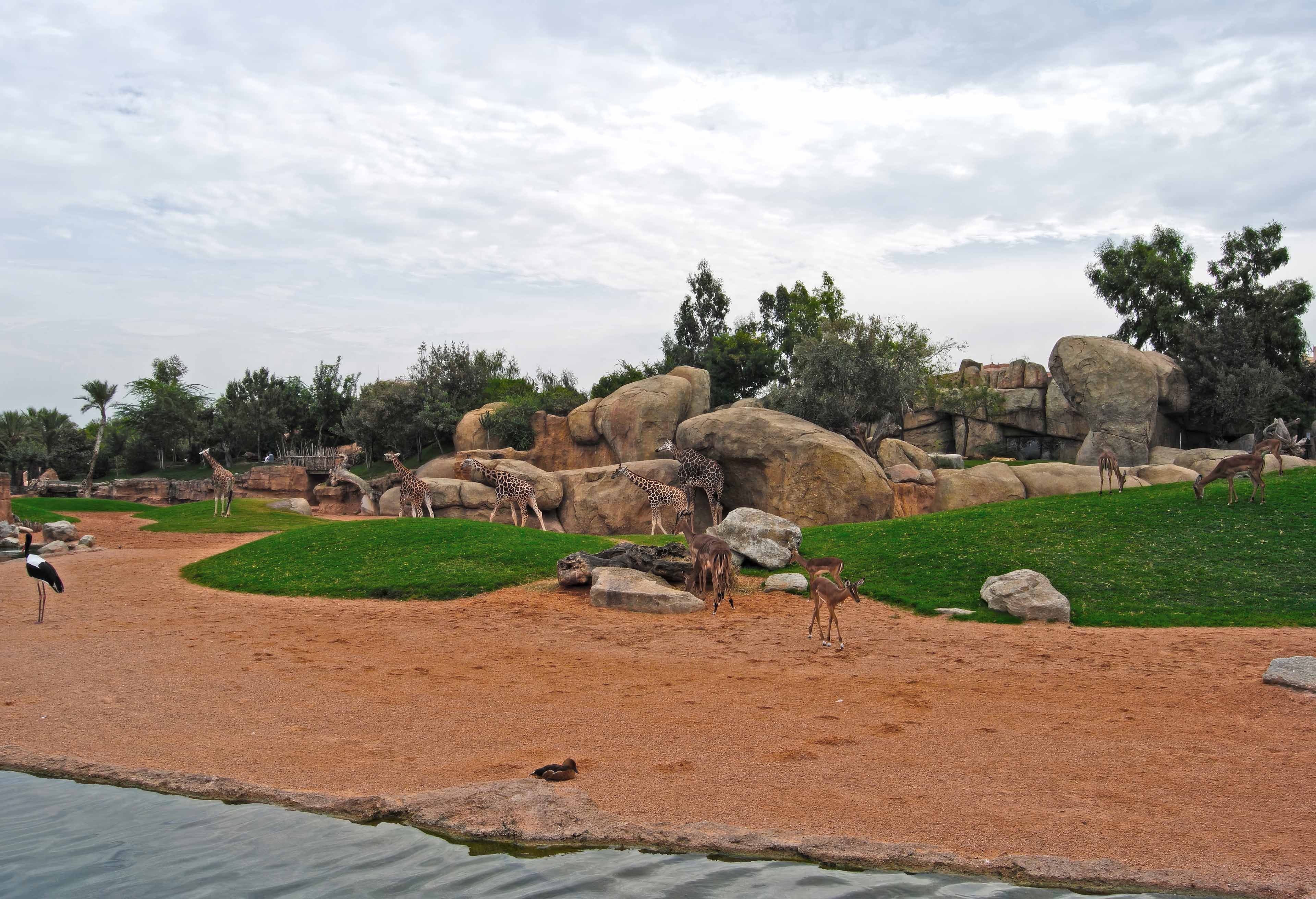 wildlife park development wildlife park development construction company