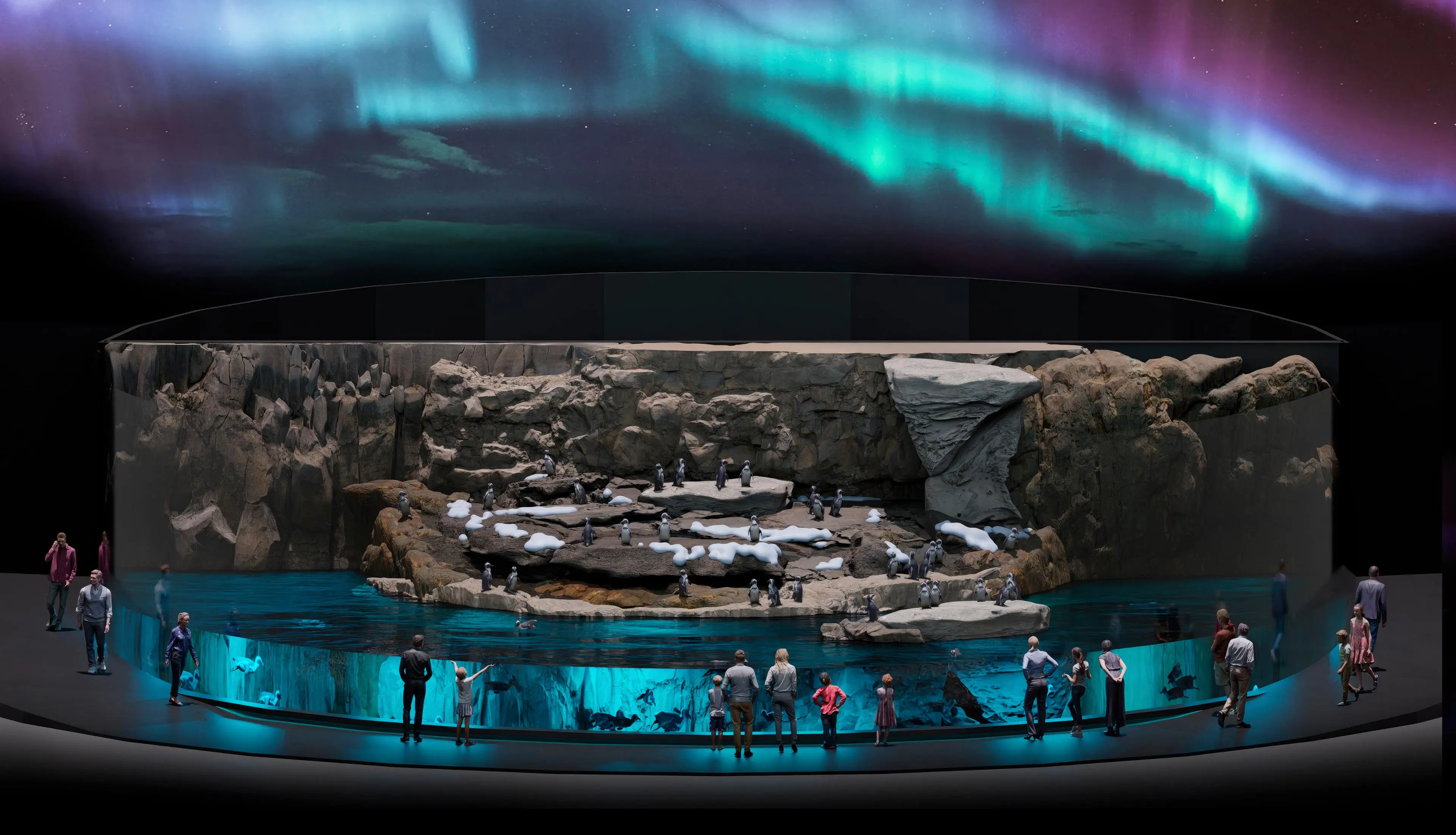 conception de zoo conception et construction de parcs zoologiques