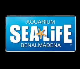 Spécialiste international dans la création de parcs de loisirs familiaux