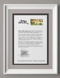 services de construction de parcs de loisirs