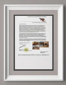 services de conception de parcs de loisirs