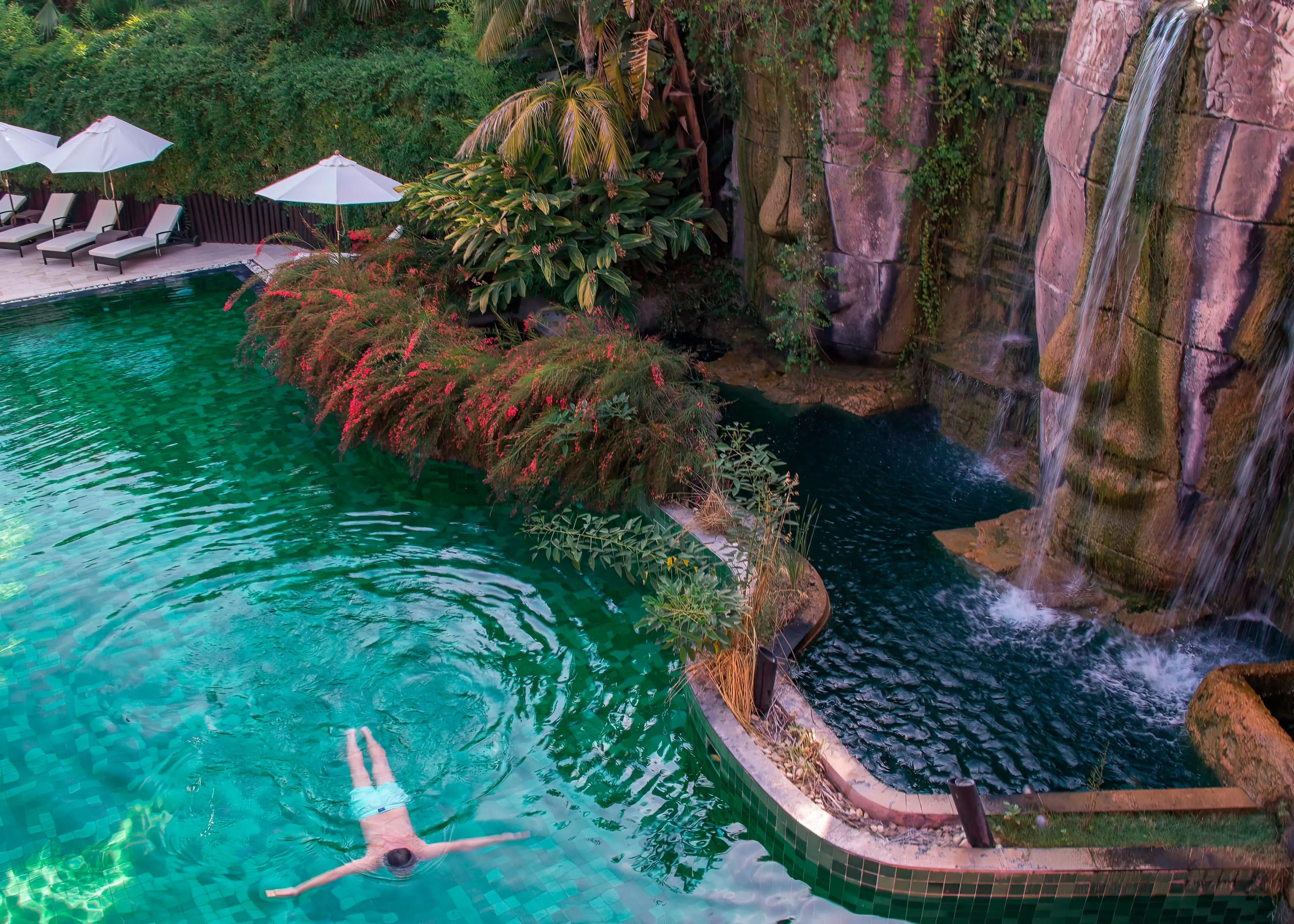 construção de jardins temáticos criação de jardins temáticos