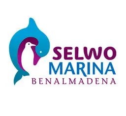 projeto de parque aquático